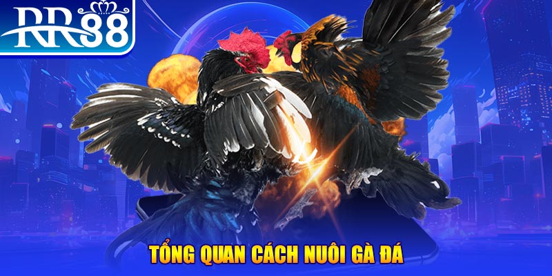 99ok1 game nổ hũ rút tiền mặt là gì