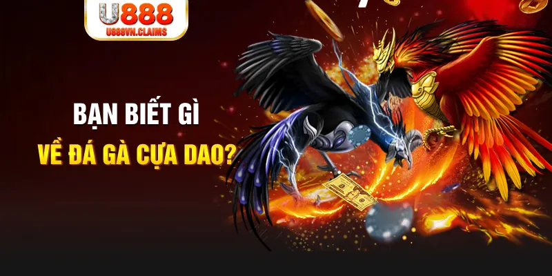 99ok1 SW Xổ Số