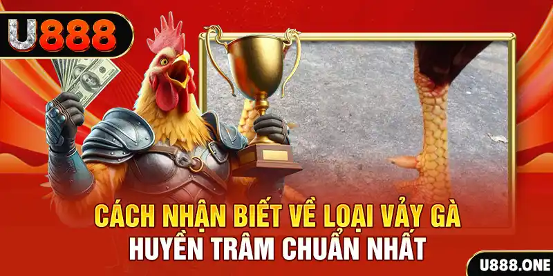 99ok1 đăng nhập nổ hũ số 1
