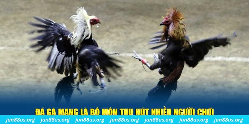99ok1 nổ hủ nghĩa là gì