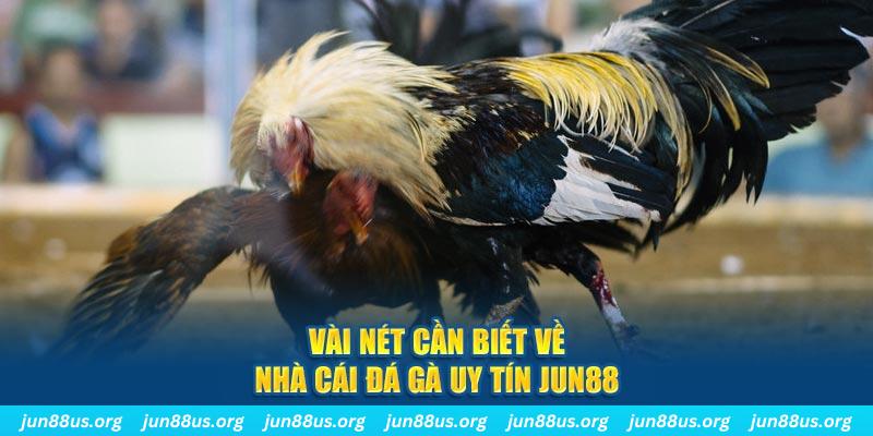 99ok1 đăng nhập phỏm khuyến mãi