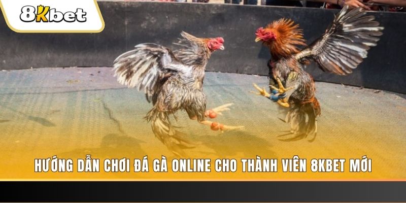 99ok1 JILI Game Bài 3d