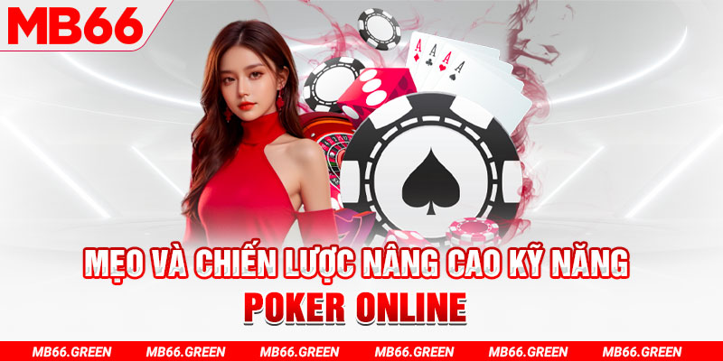 99ok1 chổi lông gà