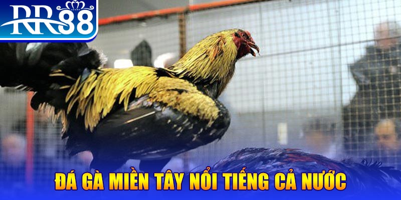 99ok1 xổ số đại phát