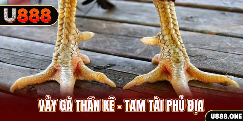 99ok1 xổ số miền trung thứ hai hàng tuần