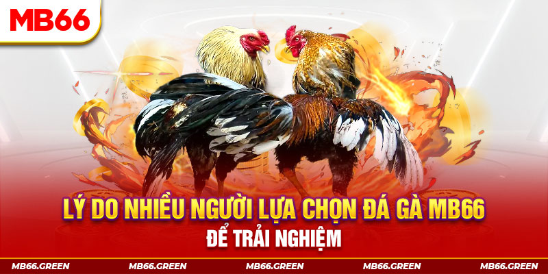 99ok1 đăng nhập liêng trực tiếp