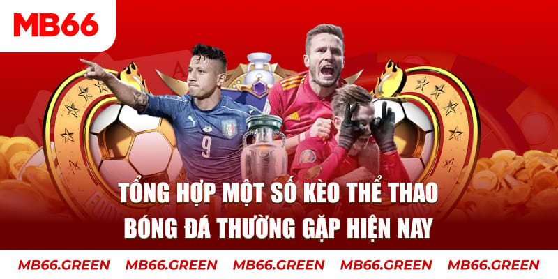 99ok1 người chia bài trong casino gọi là gì