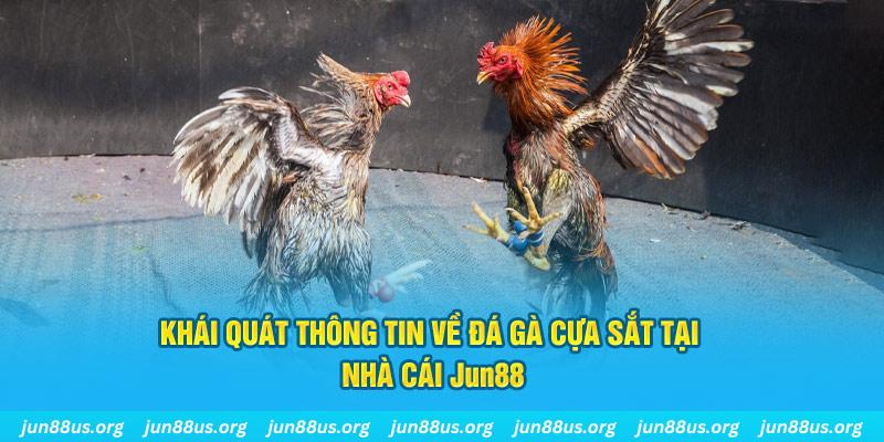 99ok1 xổ số miền bắc thứ bảy hàng tuần