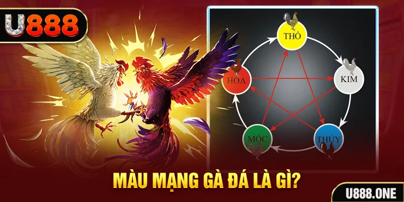 99ok1 xổ số miền trung thứ tư hàng tuần