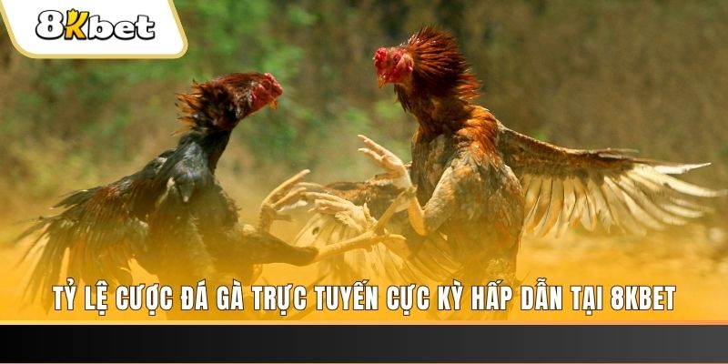 99ok1 đăng nhập mậu binh online