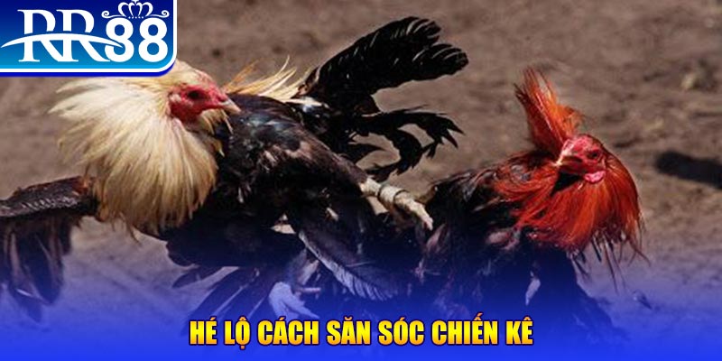 99ok1 xổ số miền trung thứ tư