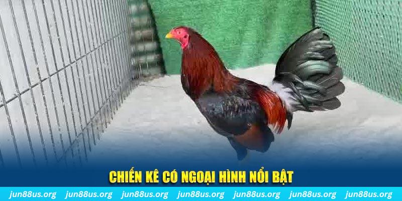 99ok1 game bắn cá