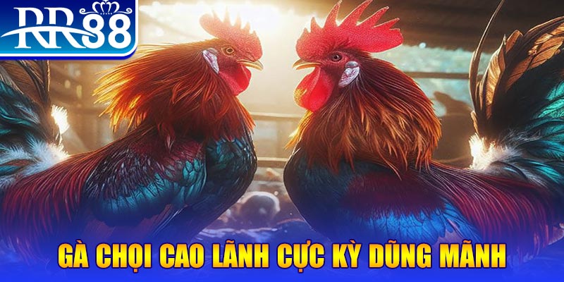 99ok1 HB Điện Tử