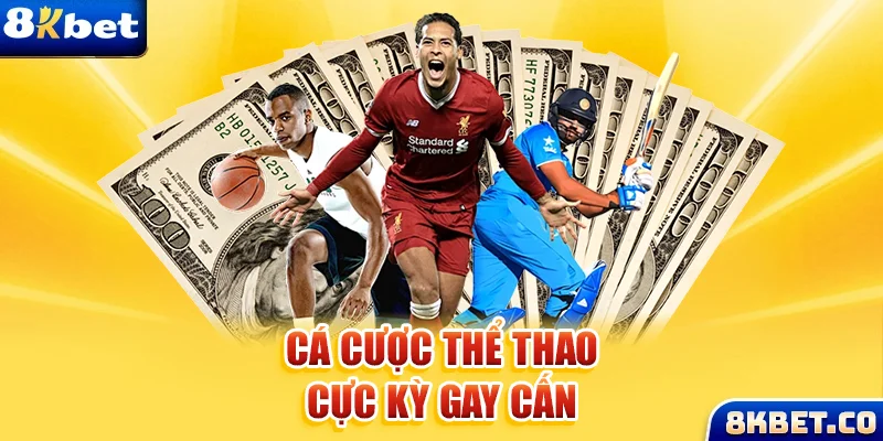 99ok1 xem đá gà trực tiếp